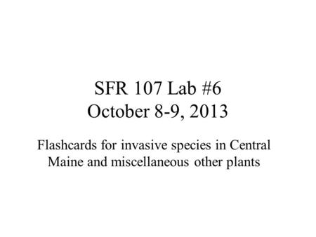 SFR 107 Lab #6 October 8-9, 2013 Flashcards for invasive species in Central Maine and miscellaneous other plants.