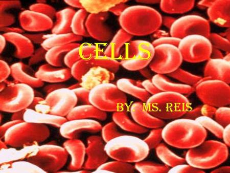 CELLS BY: MS. REIS.