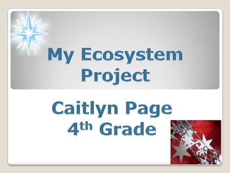 My Ecosystem Project Caitlyn Page 4th Grade.
