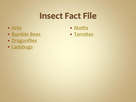 Insect Fact File Ants Bumble Bees Dragonflies Ladybugs Moths Termites.