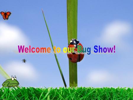 Welcome to our Bug Show!.