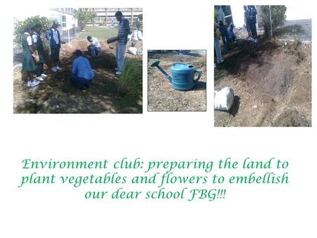Environment club: preparing the land to plant vegetables and flowers to embellish our dear school FBG!!!