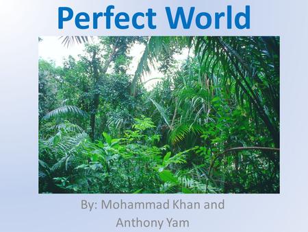 Perfect World By: Mohammad Khan and Anthony Yam. SPIKED MAIDEN PLANT Type: Producer Range: Scatter throughout the tropical rainforest Population Size: