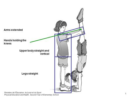 Arms extended Legs straight Upper body straight and vertical Hands holding the knees Ministère de lÉducation, du Loisir et du Sport Physical Education.
