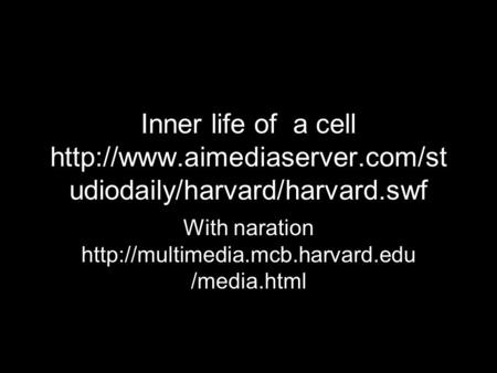 With naration http://multimedia.mcb.harvard.edu/media.html Inner life of a cell http://www.aimediaserver.com/studiodaily/harvard/harvard.swf With naration.