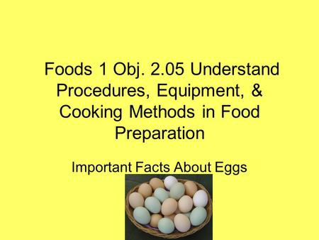 Important Facts About Eggs
