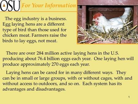 1 For Your Information The egg industry is a business. Egg laying hens are a different type of bird than those used for chicken meat. Farmers raise the.