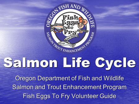 Salmon Life Cycle Oregon Department of Fish and Wildlife