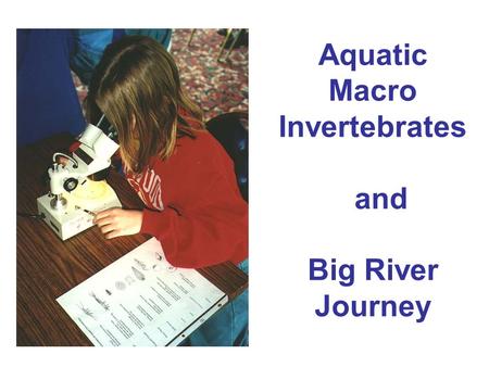 Aquatic Macro Invertebrates and Big River Journey