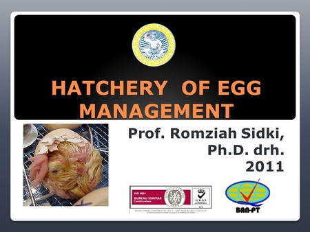HATCHERY OF EGG MANAGEMENT Prof. Romziah Sidki, Ph.D. drh. 2011.