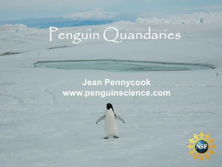 Penguin Quandaries Jean Pennycook www.penguinscience.com.