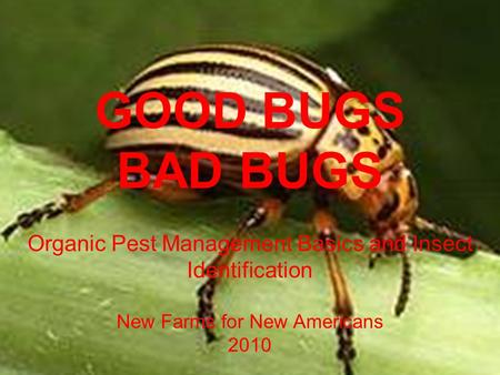 GOOD BUGS BAD BUGS Organic Pest Management Basics and Insect Identification New Farms for New Americans 2010.
