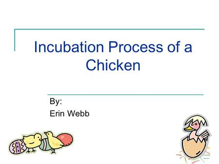 Incubation Process of a Chicken By: Erin Webb. Preparation Stage Chick incubation process is 21 days Gather fertilized eggs 2 – 3 days in advance Set.