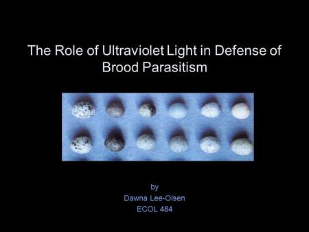 The Role of Ultraviolet Light in Defense of Brood Parasitism by Dawna Lee-Olsen ECOL 484.