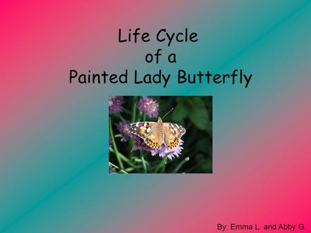 Life Cycle of a Painted Lady Butterfly By: Emma L. and Abby G.