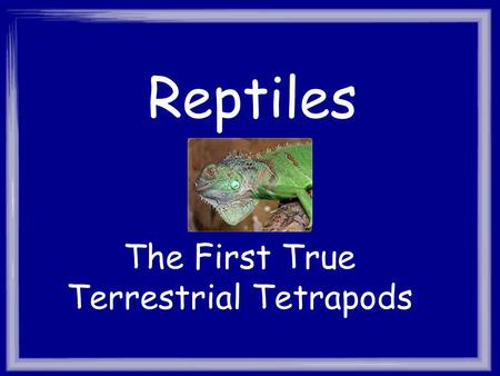 The First True Terrestrial Tetrapods