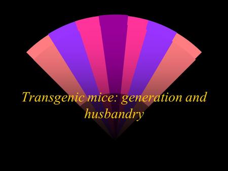 Transgenic mice: generation and husbandry