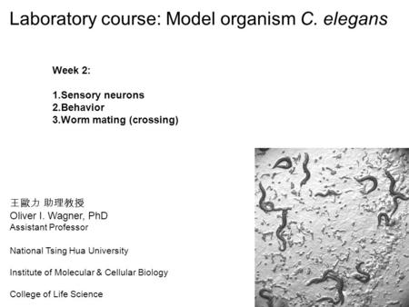 Oliver I. Wagner, PhD Assistant Professor National Tsing Hua University Institute of Molecular & Cellular Biology College of Life Science Laboratory course: