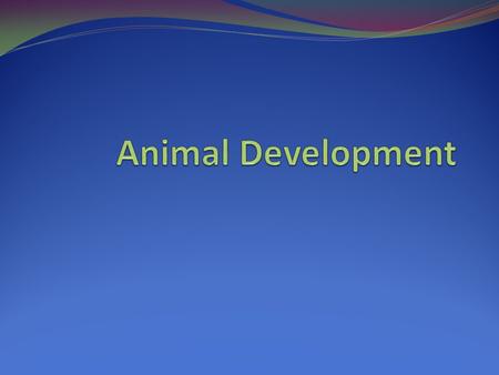 Animal Development.