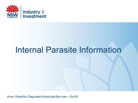 Internal Parasite Information
