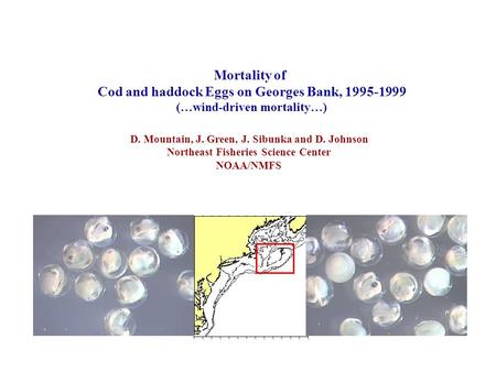 Mortality of Cod and haddock Eggs on Georges Bank, 1995-1999 (…wind-driven mortality…) D. Mountain, J. Green, J. Sibunka and D. Johnson Northeast Fisheries.