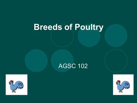 Breeds of Poultry AGSC 102. Who ate breakfast this morning? What did you have? When was the last time you had cake, cookies, or pie? What do all these.