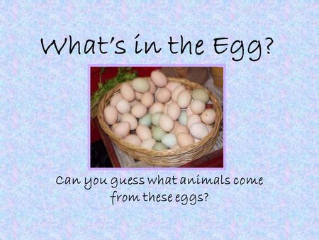 Whats in the Egg? Can you guess what animals come from these eggs?