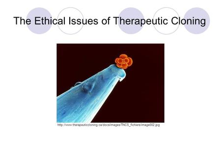 The Ethical Issues of Therapeutic Cloning