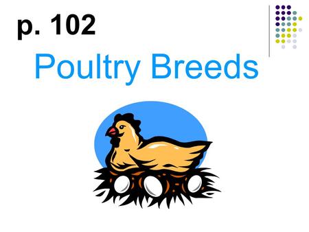P. 102 Poultry Breeds.