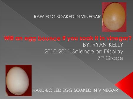 Will an egg if you soak it in vinegar?