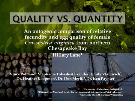 An ontogenic comparison of relative fecundity and egg quality of female Crassostrea virginica from northern Chesapeake Bay Hillary Lane 1 Vince Politano.
