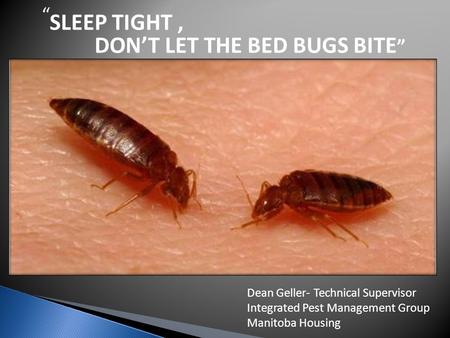 SLEEP TIGHT , DON’T LET THE BED BUGS BITE”