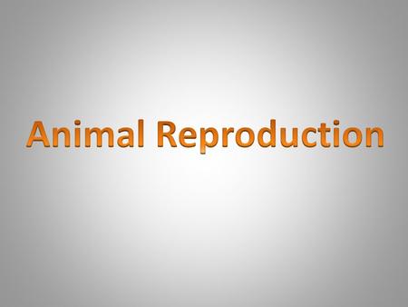 Animal Reproduction.