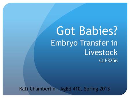 Got Babies? Embryo Transfer in Livestock