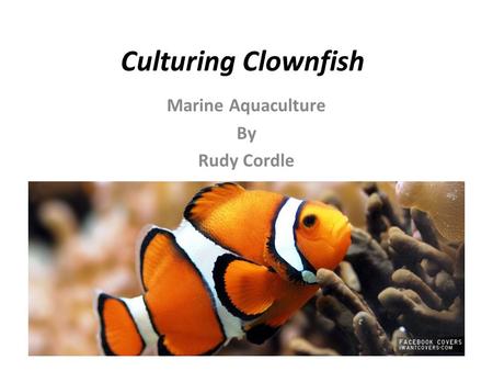 Marine Aquaculture By Rudy Cordle