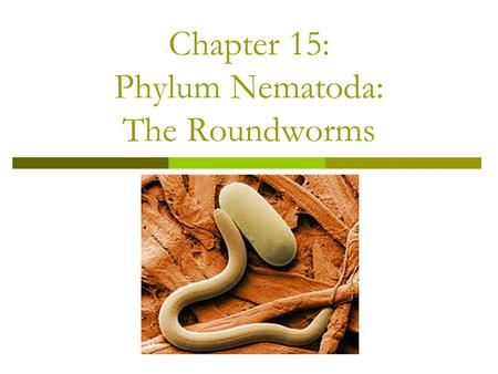 Chapter 15: Phylum Nematoda: The Roundworms
