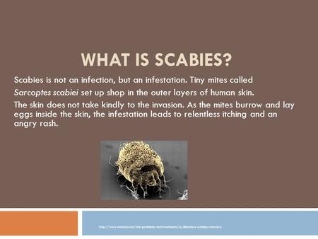 What Is Scabies? Scabies is not an infection, but an infestation. Tiny mites called Sarcoptes scabiei set up shop in the outer layers of human skin. The.