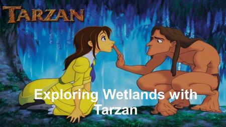 Exploring Wetlands with Tarzan. What is a Wetland? A wetland is an area coved with shallow water. There are different types of plants and animals that.