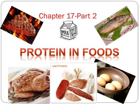 Chapter 17-Part 2 Protein in Foods.