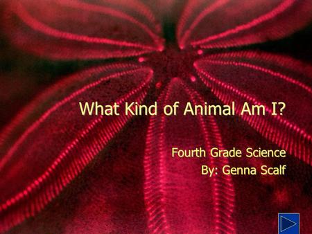 Fourth Grade Science By: Genna Scalf
