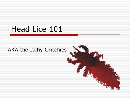 Head Lice 101 AKA the Itchy Gritchies HELP!! MY STUDENT HAS LICE! Head lice do NOT jump or fly Head lice do NOT spread disease Head lice must feed on.