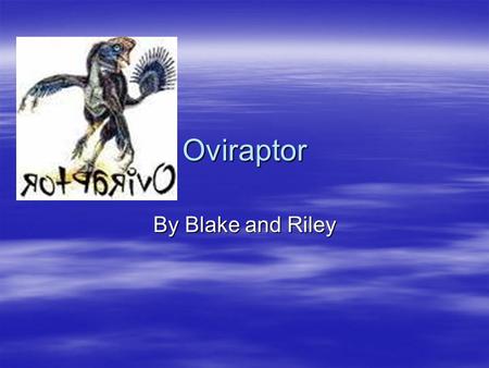 Oviraptor By Blake and Riley Supper Time! Oviraptors ate plants, animals, and eggs. They were called omnivores, which means that they ate both plants.