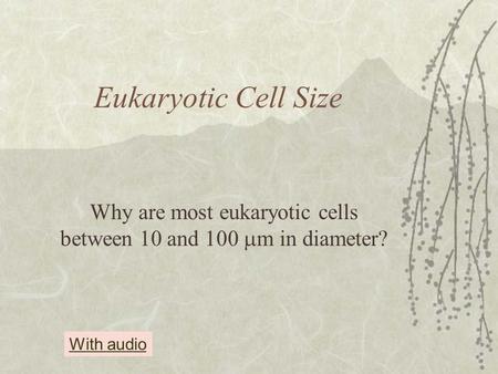 Why are most eukaryotic cells between 10 and 100 m in diameter?