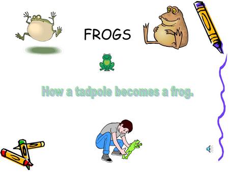 FROGS 1ST STAGE OF FROGS LIFE EGGS 2 ND STAGE OF FROGS LIFE TADPOLES FINAL STAGE FROGLET TO ADULT.