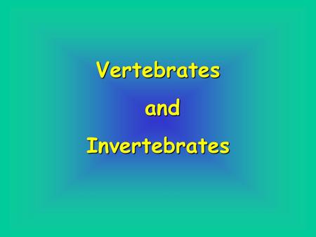 Vertebrates and Invertebrates.