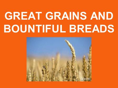 GREAT GRAINS AND BOUNTIFUL BREADS