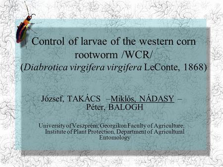 Control of larvae of the western corn rootworm /WCR/ (Diabrotica virgifera virgifera LeConte, 1868) József, TAKÁCS –Miklós, NÁDASY – Péter, BALOGH University.