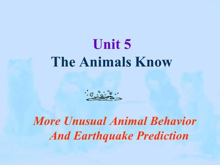 More Unusual Animal Behavior And Earthquake Prediction