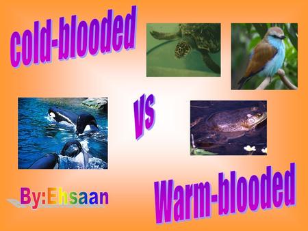 Cold-blooded Vs Warm-blooded By:Ehsaan.