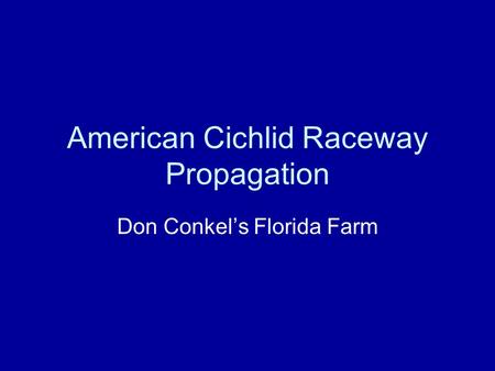 American Cichlid Raceway Propagation Don Conkels Florida Farm.